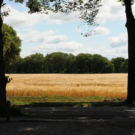 De Violier-2
